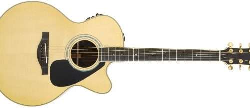How to choose an electro-acoustic guitar?