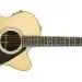 How to choose an electro-acoustic guitar?