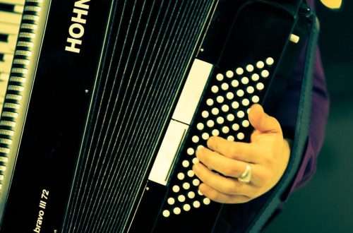 How to get an idea of ​​the bass of an accordion?