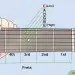 Basic chords for beginners