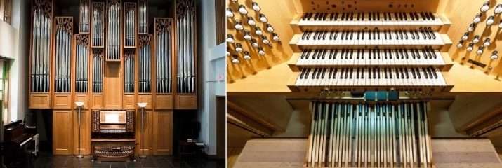How to learn to play the organ?
