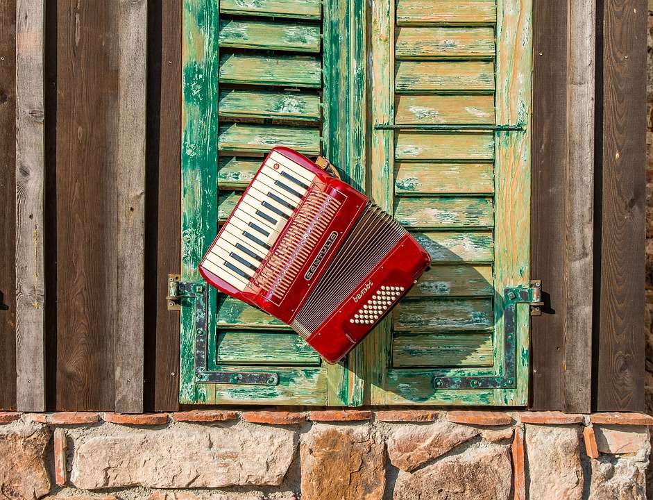 Apprendre l'accordéon à partir de zéro. Comment pratiquer efficacement l'accordéon ?