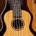 Acoustic guitar and classical guitar