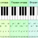 Piano Lessons for Beginners (Lesson 1)