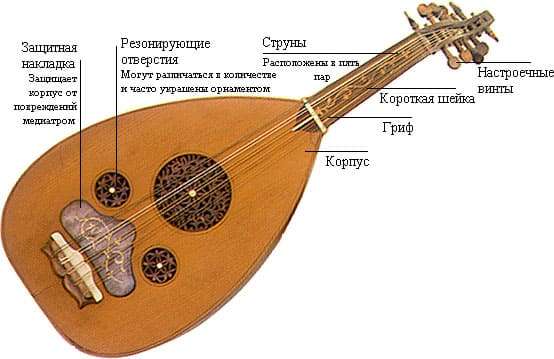 Lute: what is it, structure, sound, history, varieties, use