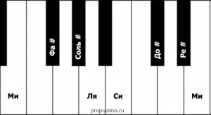 Major scales, intervals, steady steps, chanting (Lesson 3)