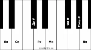 Major scales, intervals, steady steps, chanting (Lesson 3)