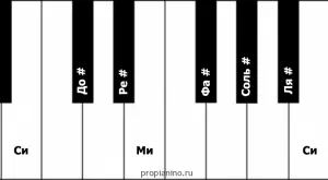 Major scales, intervals, steady steps, chanting (Lesson 3)