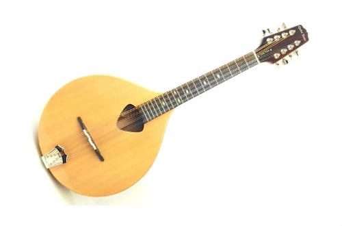 Mandola: instrumentin koostumus, käyttö, soittotekniikka, ero mandoliinista