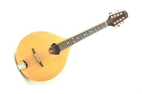 Mandola: sastav instrumenta, upotreba, tehnika sviranja, razlika od mandoline