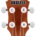 How to play the ukulele