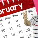 Music calendar &#8211; February