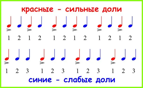 Musical size: its types and designations