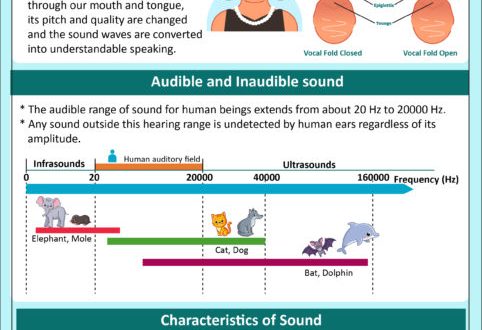 Musical sound and its properties