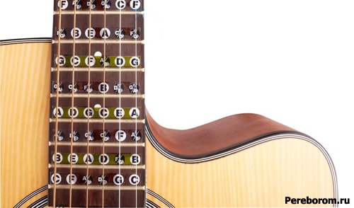 guitar fretboard stickers