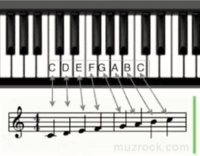 How to write notes of white piano keys on a stave