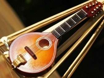 Leer om mandolien te speel