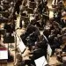 Philharmonic Orchestra of Radio France (Orchestre philharmonique de Radio France) |