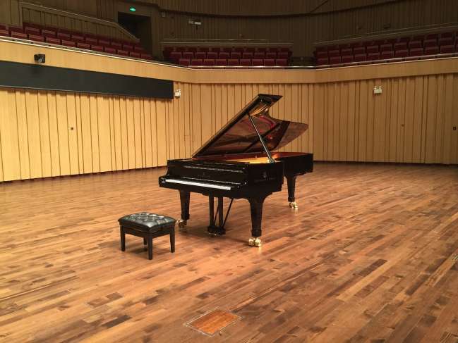 Piano for a music school student