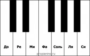 Piano Lessons for Beginners (Lesson 1)