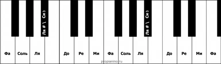 Piano Lessons for Beginners (Lesson 1)