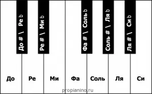 Piano Lessons for Beginners (Lesson 1)