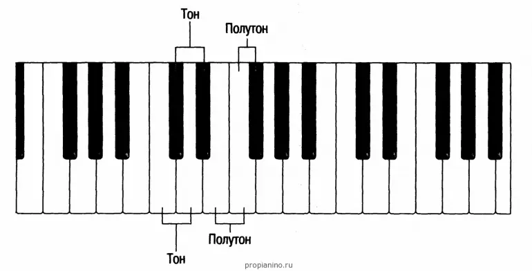 Piano Lessons for Beginners (Lesson 1)