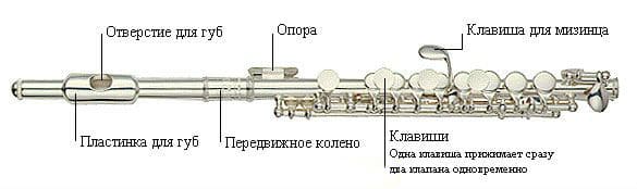 Piccolo flute: what is it, sound, structure, history
