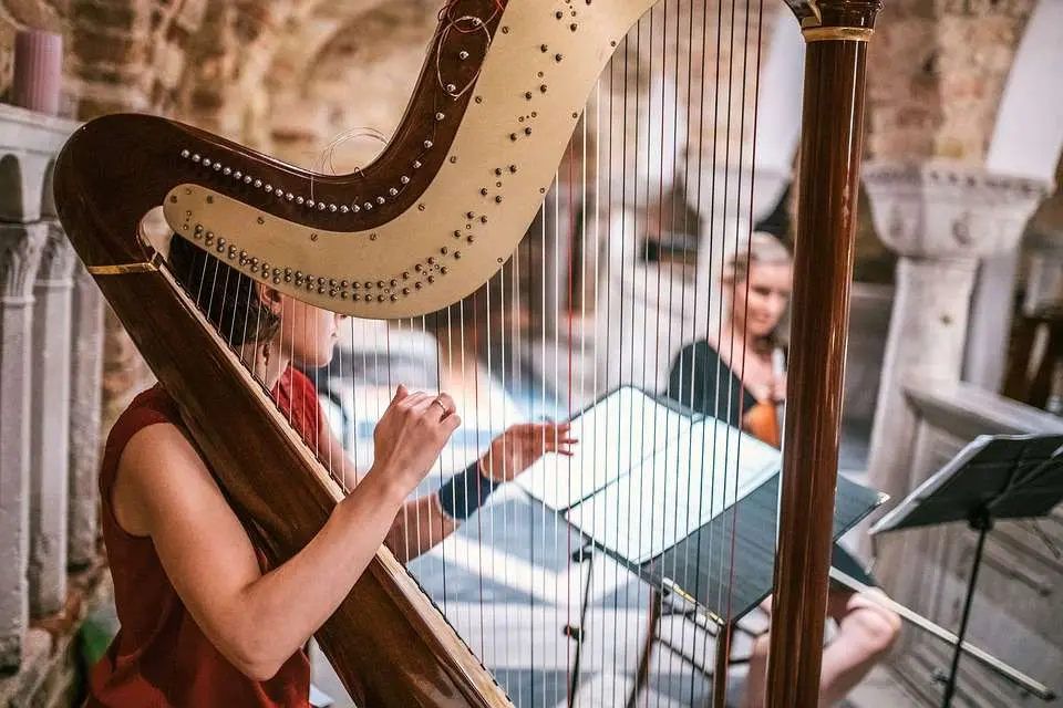 Instruments à cordes pincées