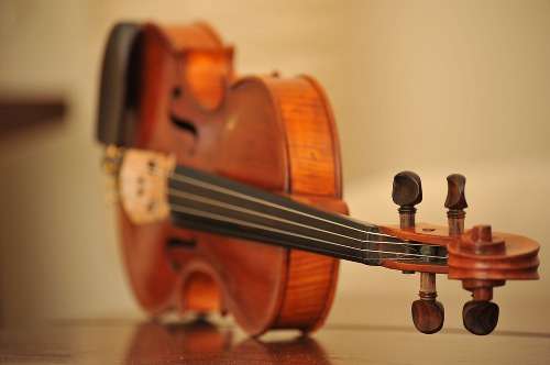 Proper selection and maintenance of strings in string instruments