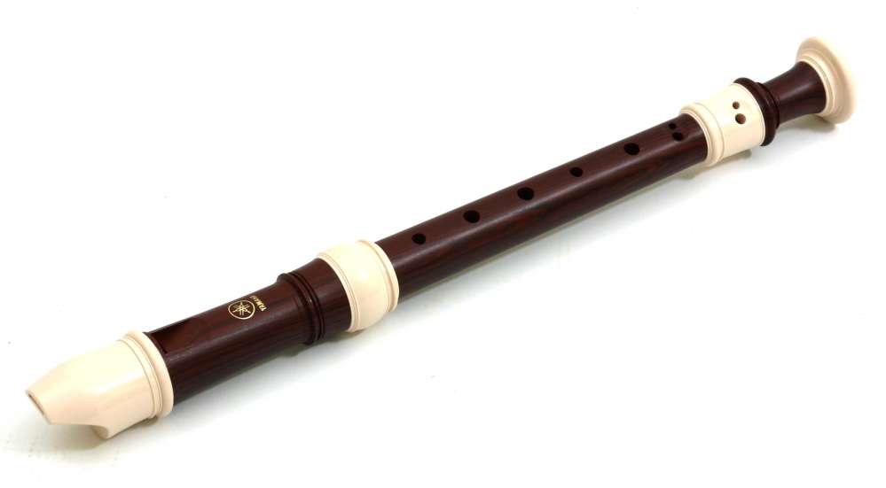Recorder from scratch - Playing the instrument
