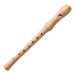 Recorder: what is it, instrument composition, types, sound, history, application