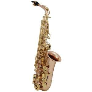Alto Saxophone Roy Benson AS-202G
