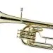 Saxhorns: general information, history, types, use