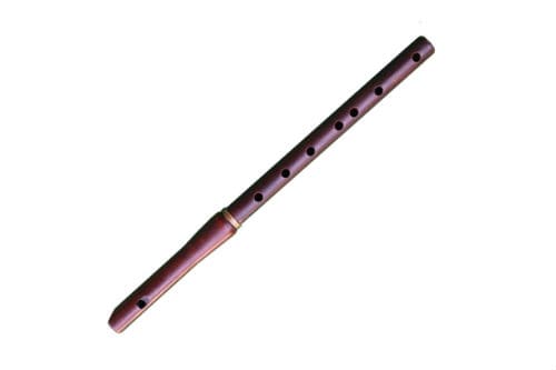 Shvi: description of the instrument, composition, sound, use