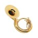 Sousaphone: description of the instrument, design, history, sound, use