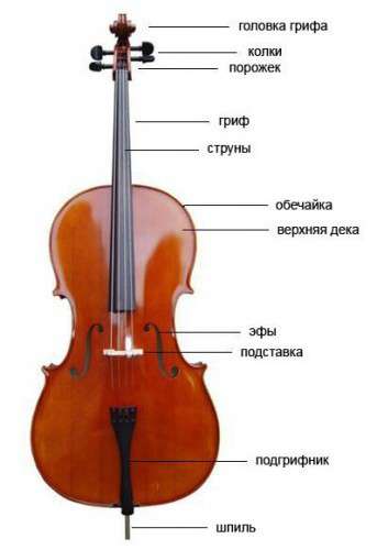 structura-violoncheli