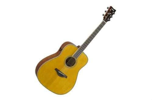 Transacoustic guitar: design features and principle of operation