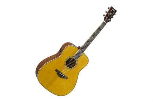 Transacoustic guitar: design features and principle of operation