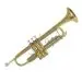 Trumpet: device of the instrument, history, sound, types, playing technique, use