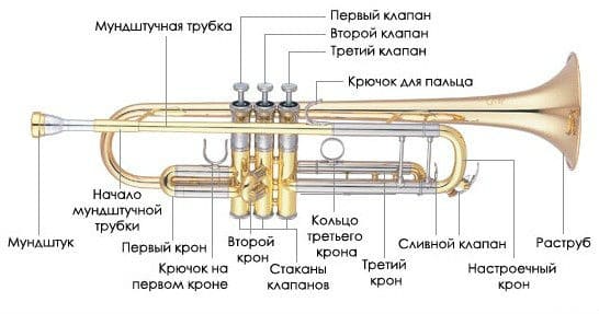 Trumpet: device of the instrument, history, sound, types, playing technique, use