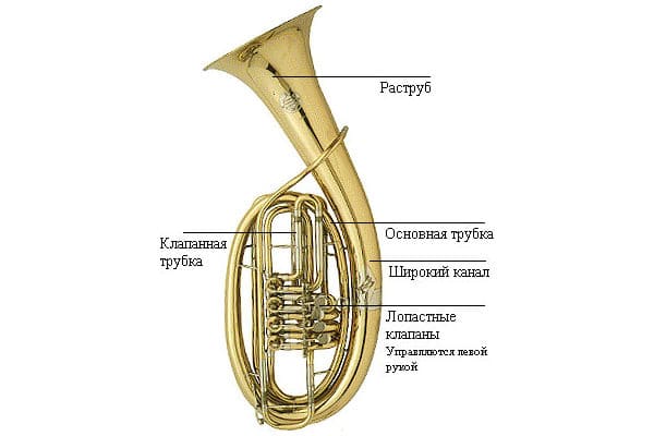 Tuba: description of the instrument, sound, history, composition, interesting facts
