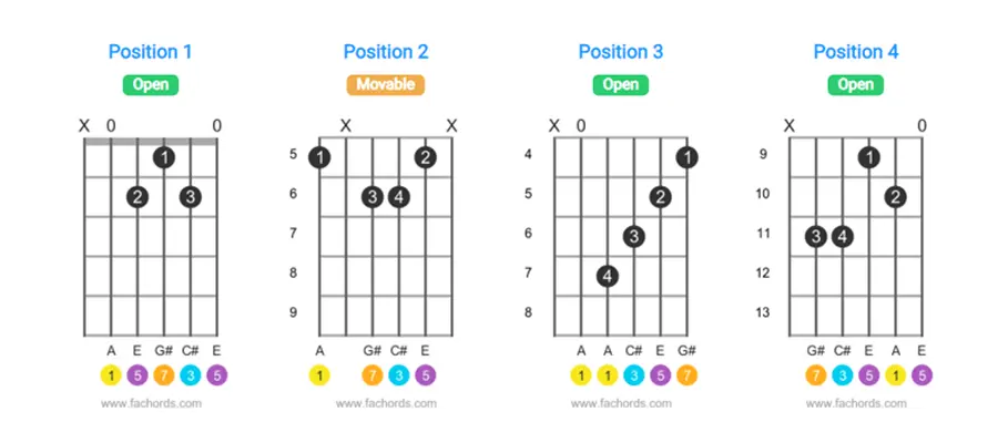 Types and schemes of fingering on the guitar