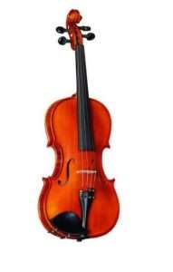 How to choose a violin for a music school