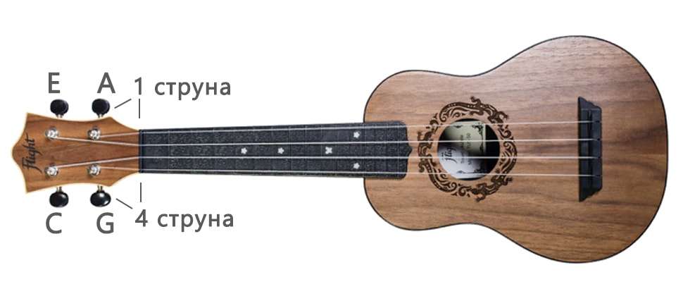 How to play the ukulele