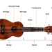 Ukulele: what is it, types, structure, sound, history, application