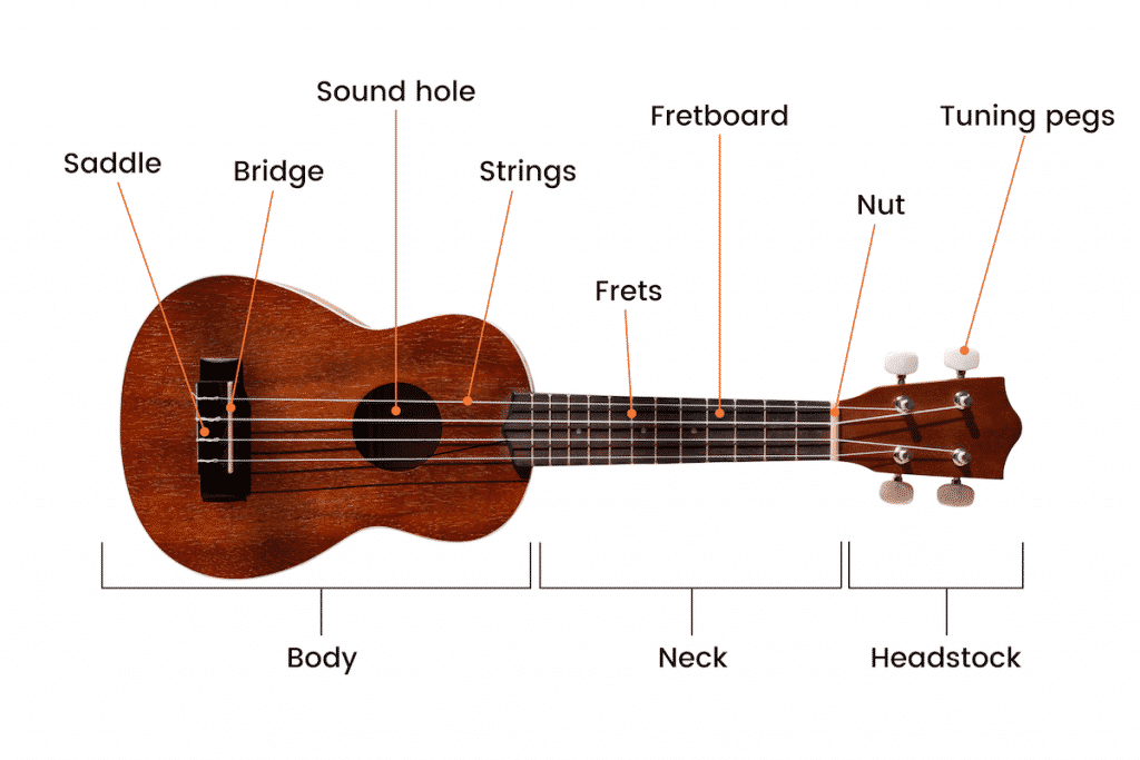 Ukulele: what is it, types, structure, sound, history, application