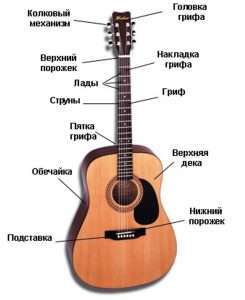instrument-guitar