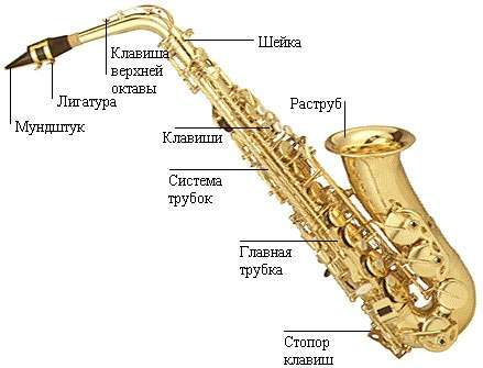 ustroysvo-saxofona