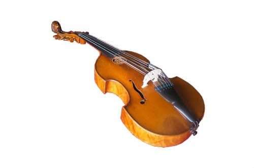 Viol d'amour: beskrywing van die instrument, komposisie, geskiedenis van oorsprong